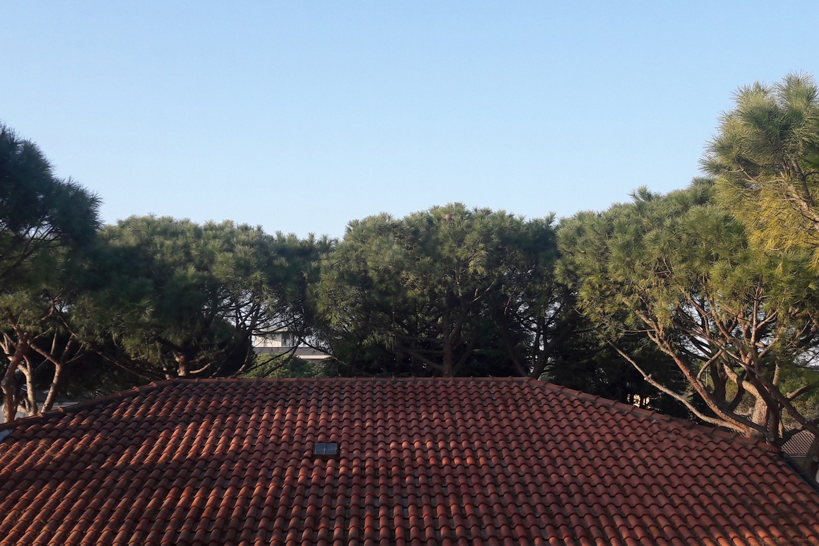 Verde Poesia. Tra paesaggio, memorie e percezione dello spazio abitato